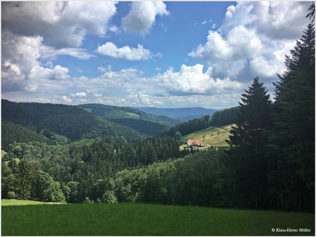 Villa Haus am Waldrand Triberg im Schwarzwald Exterior foto