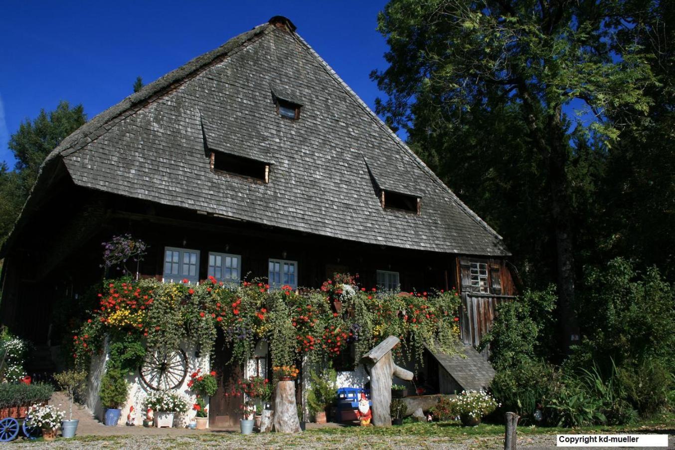 Villa Haus am Waldrand Triberg im Schwarzwald Exterior foto