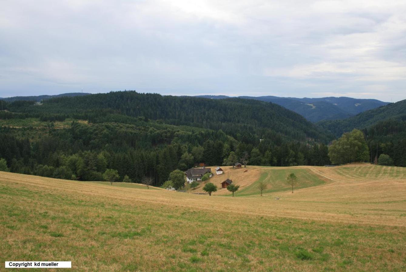 Villa Haus am Waldrand Triberg im Schwarzwald Exterior foto