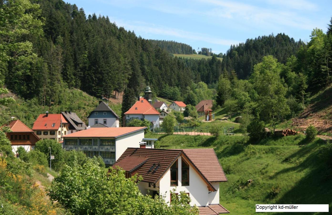 Villa Haus am Waldrand Triberg im Schwarzwald Exterior foto