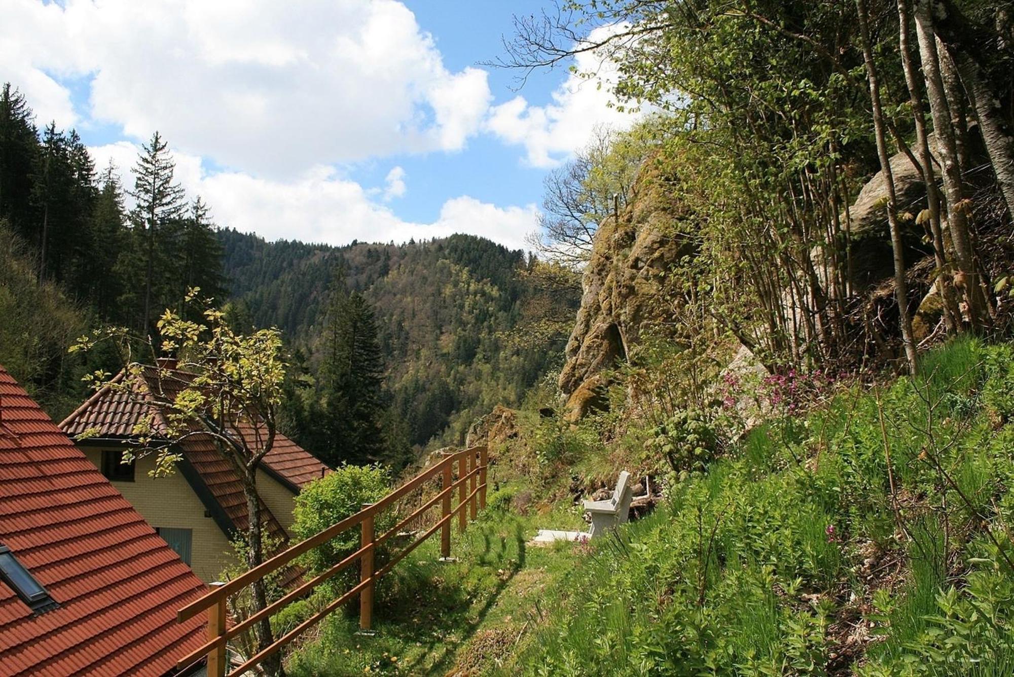 Villa Haus am Waldrand Triberg im Schwarzwald Exterior foto