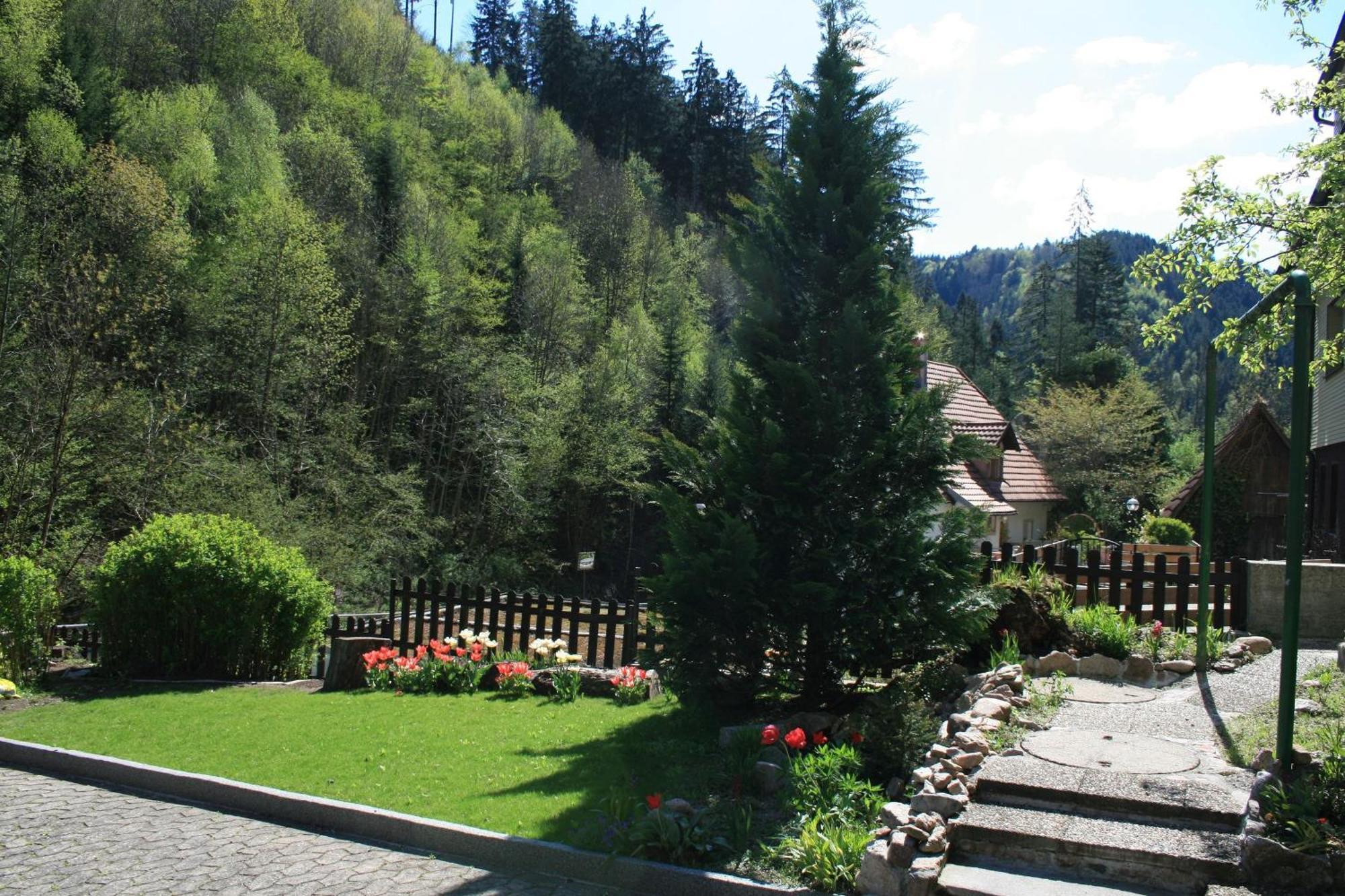 Villa Haus am Waldrand Triberg im Schwarzwald Exterior foto