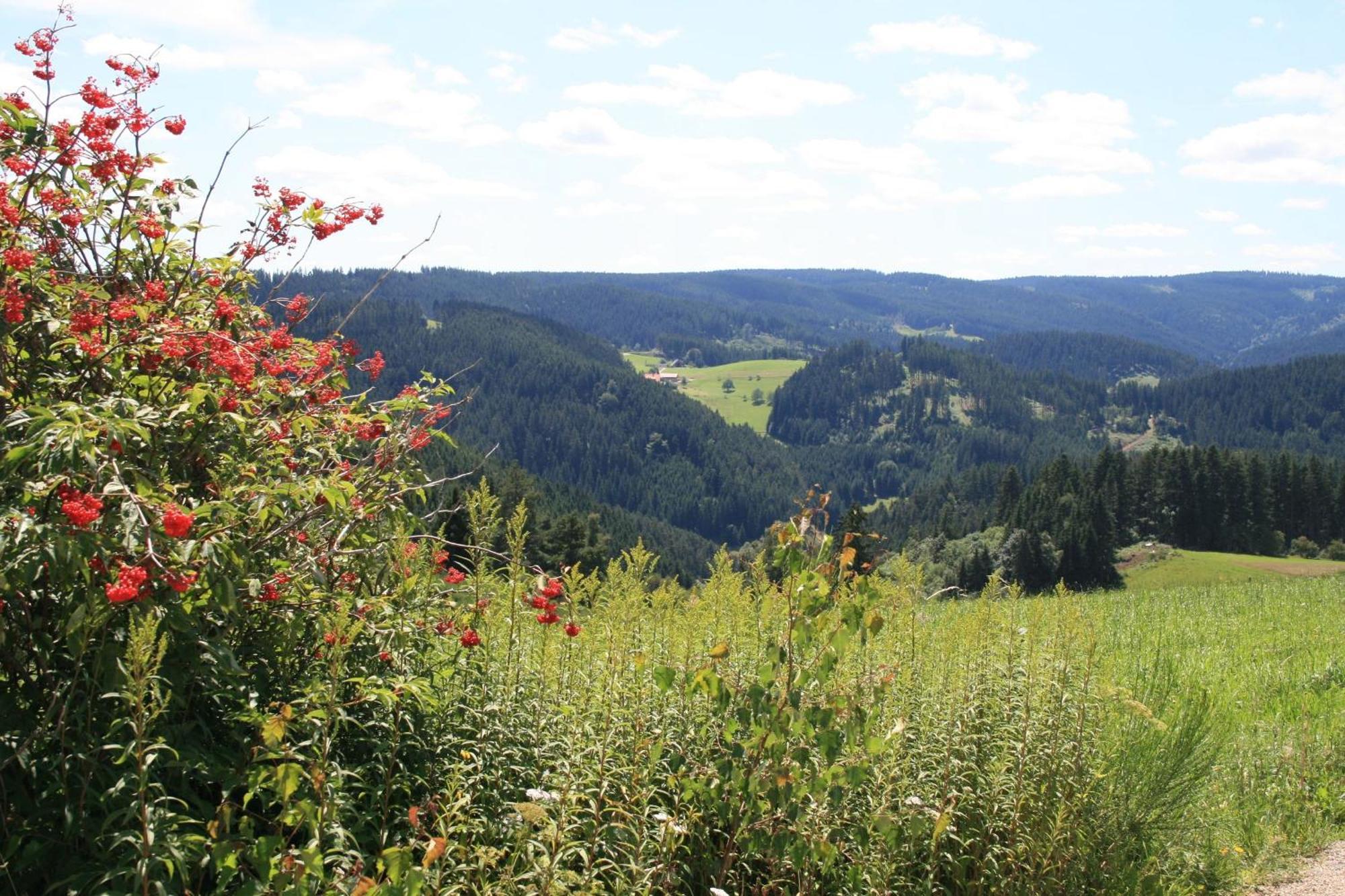 Villa Haus am Waldrand Triberg im Schwarzwald Exterior foto